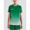 CRAFT Pro Control Fade Trikot Kinder 651900 - team green/white 134/140