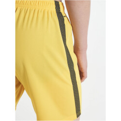CRAFT Pro Control Shorts Herren 552999 - sweden yellow/black S