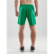 CRAFT Pro Control Shorts Herren 651900 - team green/white XXL