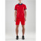 CRAFT Pro Control Poloshirt Herren 430390 - bright red/navy XS