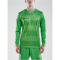 CRAFT Progress langarm Torwarttrikot ohne Polster Herren 1606 - CRAFT green S