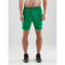 CRAFT Pro Control Mesh Shorts Herren 651900 - team green/white L