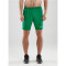 CRAFT Pro Control Mesh Shorts Herren 651900 - team green/white XXL