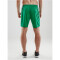 CRAFT Pro Control Mesh Shorts Herren 651900 - team green/white XXL