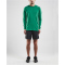 CRAFT Rush Langarmshirt Herren 651000 - team green XS