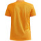 CRAFT Core Unify Poloshirt Herren 560200 - tiger melange XS