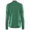 CRAFT Evolve 1/2-Zip Trainings-Top Herren 651000 - team green XS