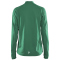 CRAFT Evolve Trainingsjacke Herren 651000 - team green XS