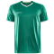 CRAFT Progress 2.0 Solid Trikot Herren 651000 - team green XS