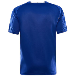 CRAFT Progress 2.0 Stripe Trikot Herren 346430 - club...
