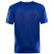 CRAFT Progress 2.0 Stripe Trikot Herren 346430 - club cobolt/bright red S