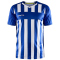 CRAFT Progress 2.0 Stripe Trikot Herren 346900 - club cobolt/white M