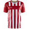 CRAFT Progress 2.0 Stripe Trikot Herren 430900 - bright red/white XS