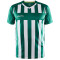 CRAFT Progress 2.0 Stripe Trikot Herren 651900 - team green/white XS