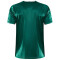 CRAFT Progress 2.0 Stripe Trikot Herren 651900 - team green/white XS
