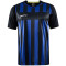 CRAFT Progress 2.0 Stripe Trikot Herren 999346 - black/club cobolt 3XL