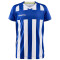 CRAFT Progress 2.0 Stripe Trikot Kinder 346900 - club cobolt/white 122/128