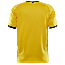 CRAFT Progress 2.0 Graphic Trikot Herren 552999 - sweden...