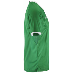 CRAFT Progress 2.0 Graphic Trikot Herren 651900 - team green/white XS