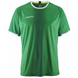CRAFT Progress 2.0 Graphic Trikot Herren 651900 - team...