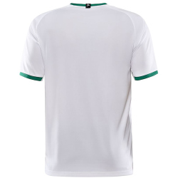 CRAFT Progress 2.0 Graphic Trikot Herren 900651 -...