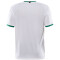 CRAFT Progress 2.0 Graphic Trikot Herren 900651 - white/team green XS