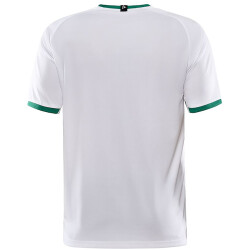 CRAFT Progress 2.0 Graphic Trikot Herren 900651 -...