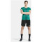 CRAFT Progress 2.0 Graphic Trikot Damen 651900 - team green/white M