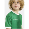 CRAFT Progress 2.0 Graphic Trikot Kinder 651900 - team green/white 122/128