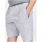 CRAFT Core Essence Shorts Herren 935000 - monument M