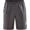 CRAFT Core Essence Shorts Herren 985000 - granite XXL