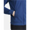 CRAFT Core Soul Kapuzenjacke Herren 346000 - club cobolt S