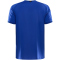 CRAFT Progress Indoor Trikot Herren 346000 - club cobolt XS