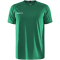 CRAFT Progress Indoor Trikot Herren 651000 - team green XS