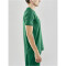 CRAFT Progress Indoor Trikot Herren 651000 - team green S