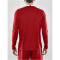 CRAFT Progress langarm Basketballtrikot Herren 430000 - bright red S