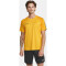 CRAFT Squad 2.0 Contrast Trikot Herren 552511 - sweden yellow/golden L