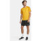 CRAFT Squad 2.0 Contrast Trikot Herren 552511 - sweden yellow/golden L