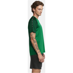CRAFT Squad 2.0 Contrast Trikot Herren 651633 - team green/ivy L