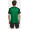 CRAFT Squad 2.0 Contrast Trikot Herren 651633 - team green/ivy L