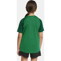 CRAFT Squad 2.0 Contrast Trikot Kinder 651633 - team green/ivy 110/116