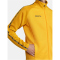 CRAFT Squad 2.0 Trainingsjacke Herren 552511 - sweden yellow/golden XS
