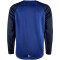 CRAFT Squad 2.0 Crewneck Trainings-Top Herren 346390 - club cobolt/navy L