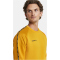 CRAFT Squad 2.0 Crewneck Trainings-Top Herren 552511 - sweden yellow/golden S