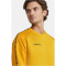 CRAFT Squad 2.0 Crewneck Trainings-Top Herren 552511 - sweden yellow/golden S