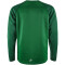 CRAFT Squad 2.0 Crewneck Trainings-Top Herren 651633 - team green/ivy XS