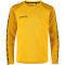 CRAFT Squad 2.0 Crewneck Trainings-Top Kinder 552511 - sweden yellow/golden 158/164