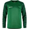 CRAFT Squad 2.0 Crewneck Trainings-Top Kinder 651633 - team green/ivy 110/116