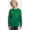 CRAFT Squad 2.0 Crewneck Trainings-Top Kinder 651633 - team green/ivy 110/116
