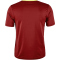 CRAFT Extend Trikot Herren 488000 - rhubarb XXS